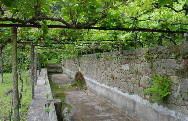 Quinta da Picaria - Foto 31