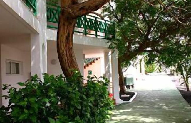 Apartamentos HSA Ficus - Foto 20