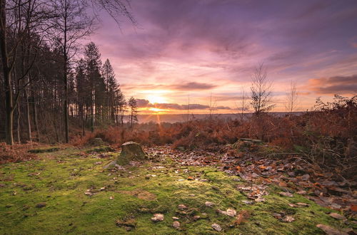 Photo 25 - Karah Retreats - St Briavels