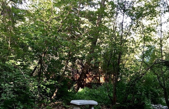 Treehouse by the Stream - Foto 15