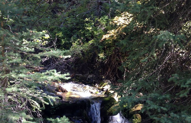 Treehouse by the Stream - Foto 19