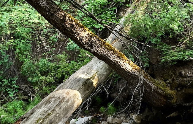 Treehouse by the Stream - Foto 17