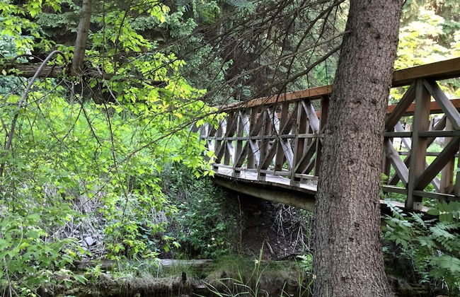 Treehouse by the Stream - Foto 20