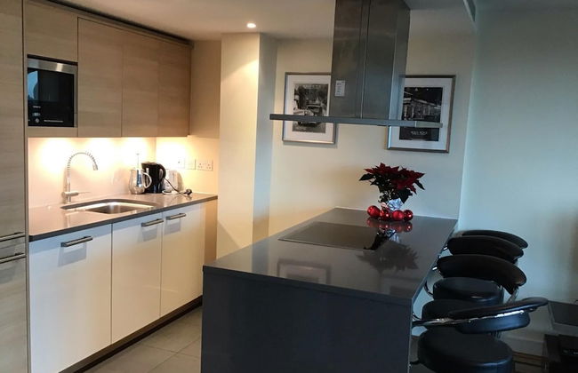 Luxury Modern 2BD Flat in Centre - Foto 8
