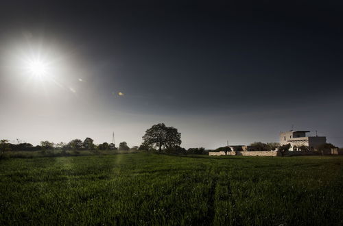 Photo 45 - Masseria Stella