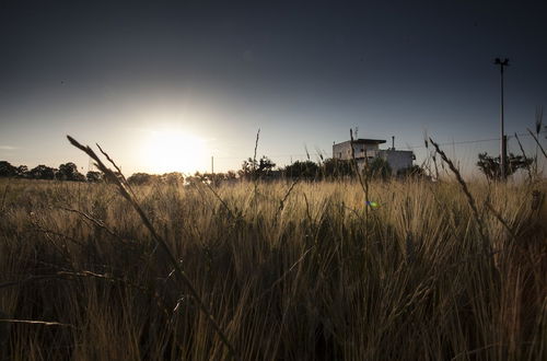 Photo 41 - Masseria Stella