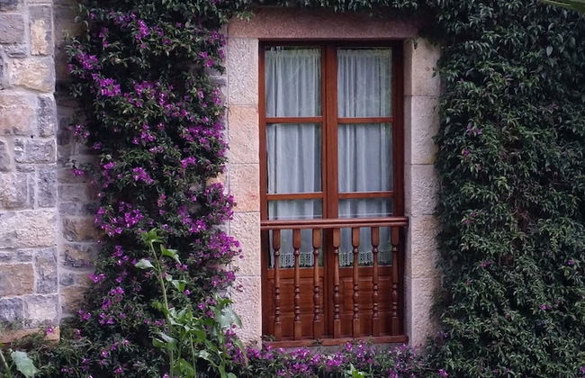 Trisqueles y Buganvillas - Foto 46