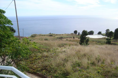 Photo 30 - Cavalinho Palheiro in Madeira