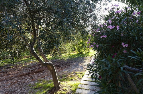 Photo 71 - Villa Tiella e Casa Frisa - Shared Pool