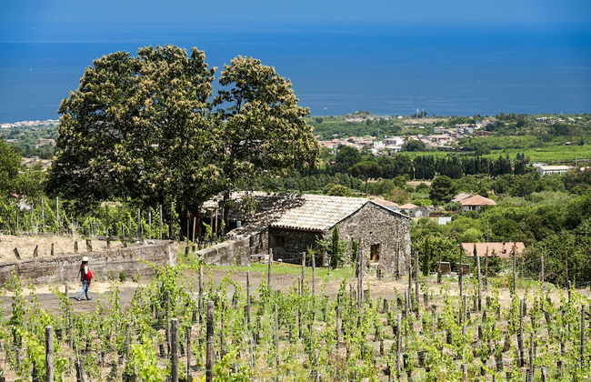 Monaci delle Terre Nere - Foto 57