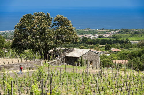 Foto 62 - Monaci delle Terre Nere