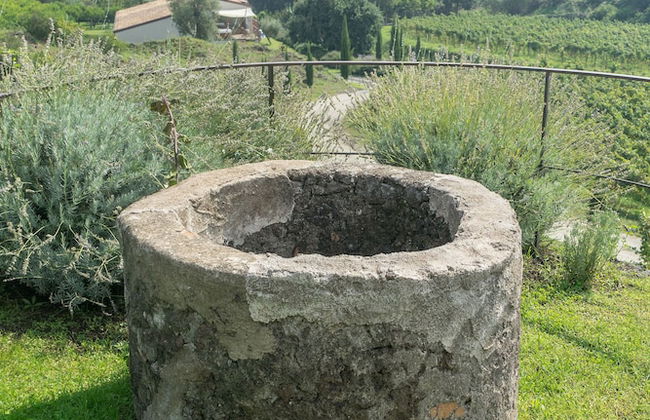 Monaci delle Terre Nere - Foto 58