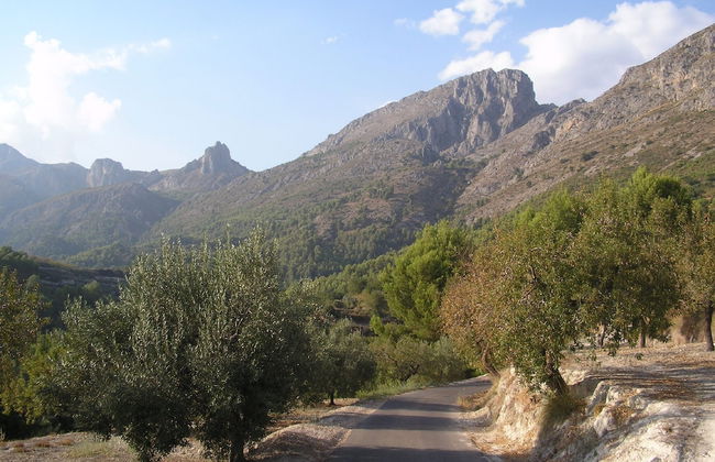 Apartamentos Serrella - Photo 28