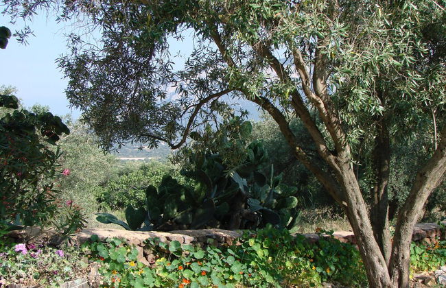 Agriturismo Su Tiresi - Foto 56