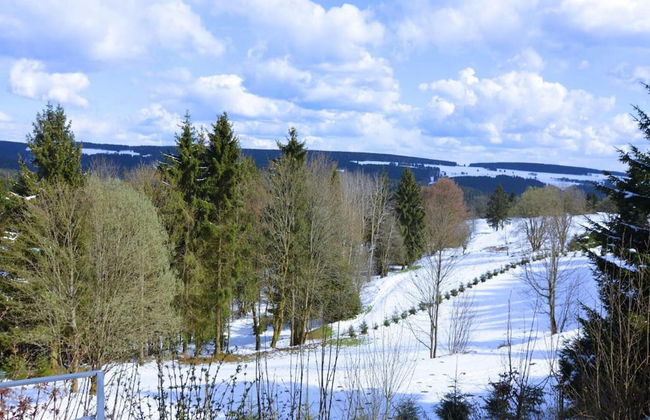 Apartment in Schnett Near the ski Area - Foto 28