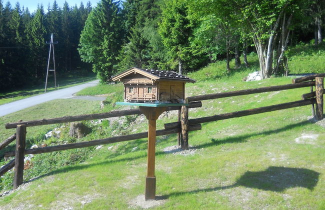 Chalet in Niederndorf Near Kufstein With Balcony - Photo 20