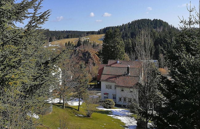 Apartment in Altenau Near Harz Mountains - Foto 8