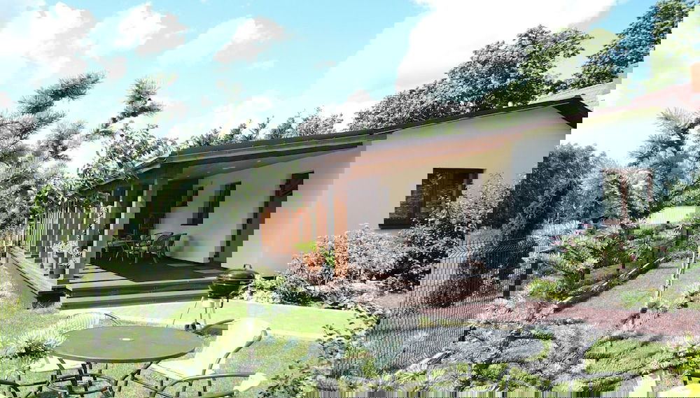 Imagem principal