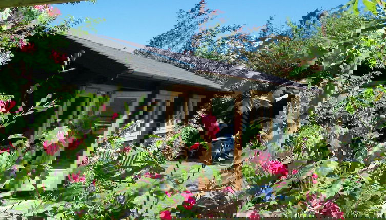 Foto 1 - Pet Friendly - Hikers Paradise - South Facing