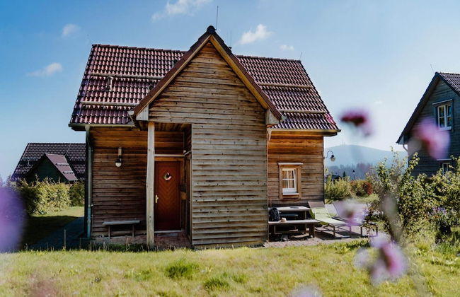 Ferienhauser, Torfhaus Harz - Foto 33
