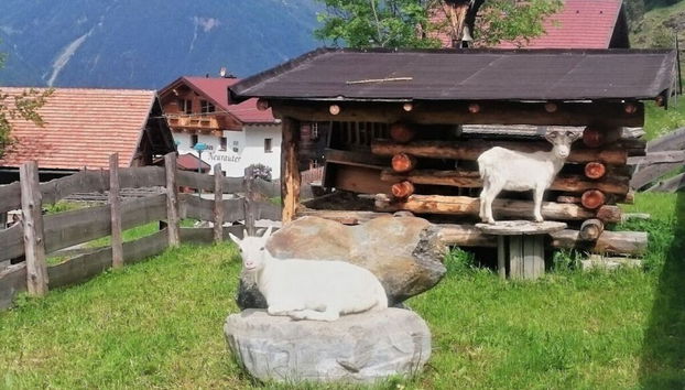Servizio della struttura
