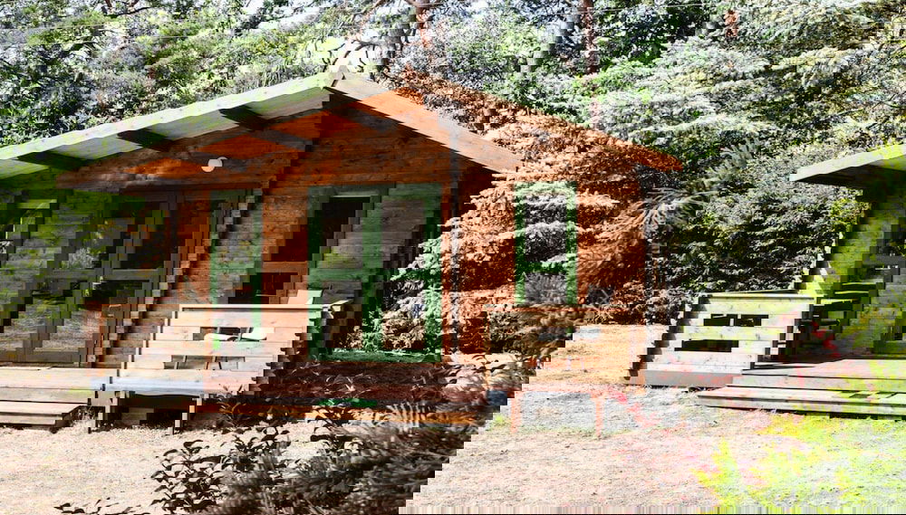 Imagem principal