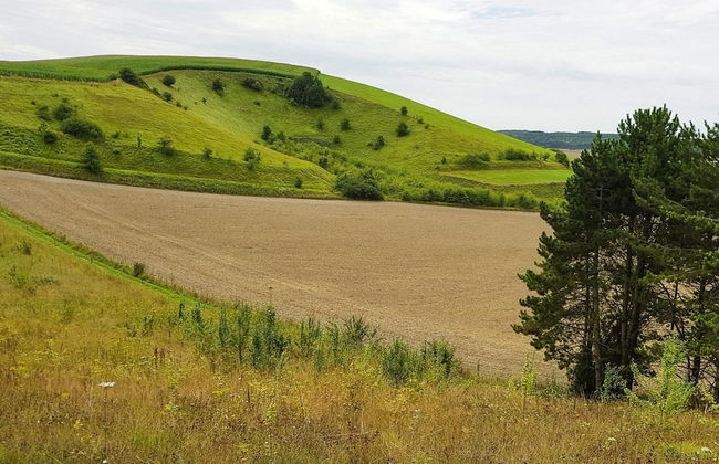 Holiday Resort Normandie Forges-les-eaux, Holiday Home Non-detached for 7 Pers - Foto 13