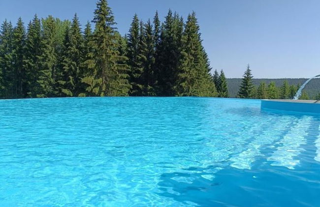 Apartments in the Idyllic Ore Mountains, Breitenbrunn - Foto 14