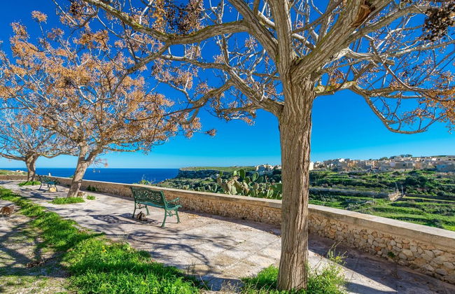 Naduri Beautiful Gozitan Villa Pool - Photo 28