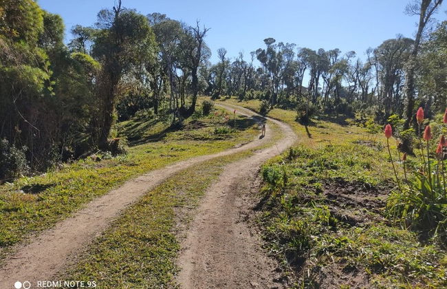Recanto Vista Alegre - Rancho Queimado - Foto 34