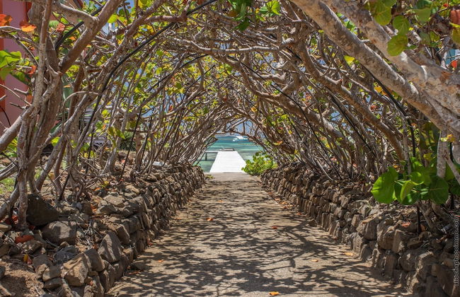 VILLAS MAORIE - Foto 50