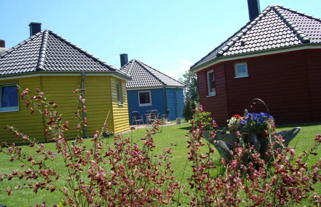 Yellow - Peter's Modern Retreat - Foto 15