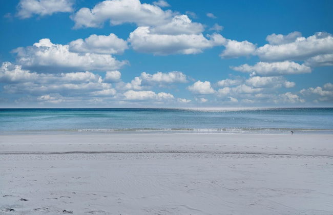 Harbor Landing 101b - Foto 56