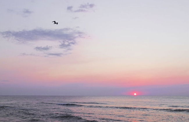 Beach House Dune 19 - Happiness - Foto 17