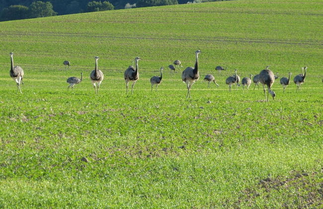 aan de Pastorie - Foto 18