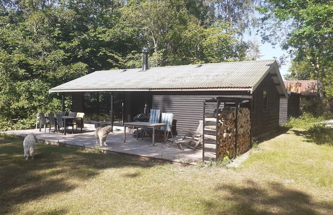 6 Person Holiday Home in Jaegerspris - Foto 1
