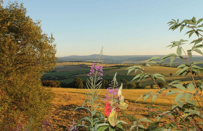 Holiday Apartment Comfortable Vacation Home - Foto 29