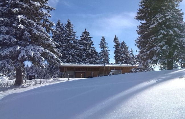 Kirsch Comfortable Holiday Residence - Foto 26