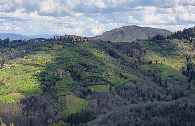 Tranquil Chianti Escape for 4 - Foto 26