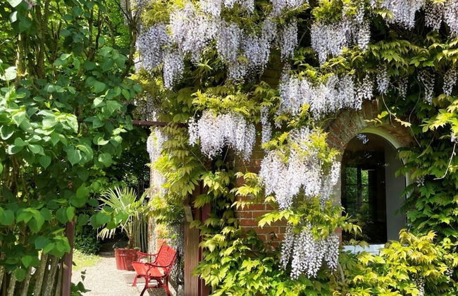 Spacious Apartment With Garden - Foto 30