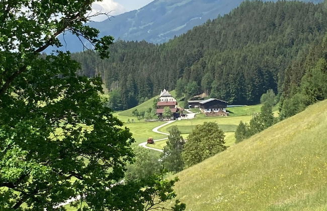 Holiday Apartment in Pinzgau - Foto 38