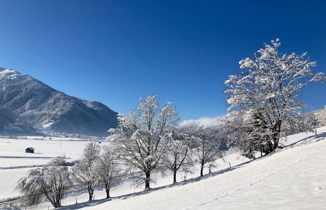 Holiday Apartment in Pinzgau - Foto 34