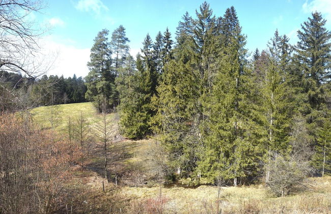 Allgau Family Retreat - Foto 19