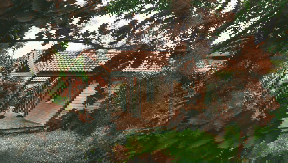 Imagem principal