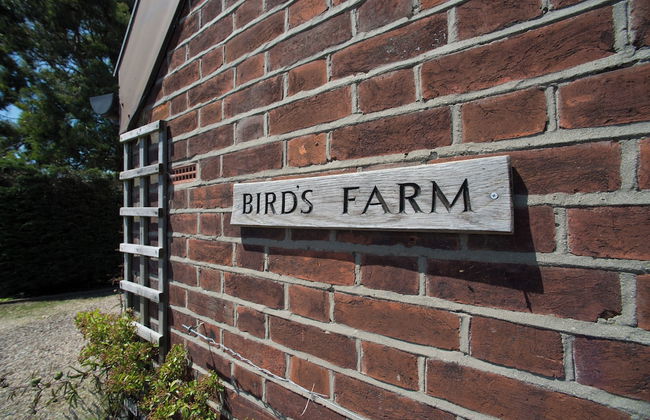 Birds Farm - Foto 49
