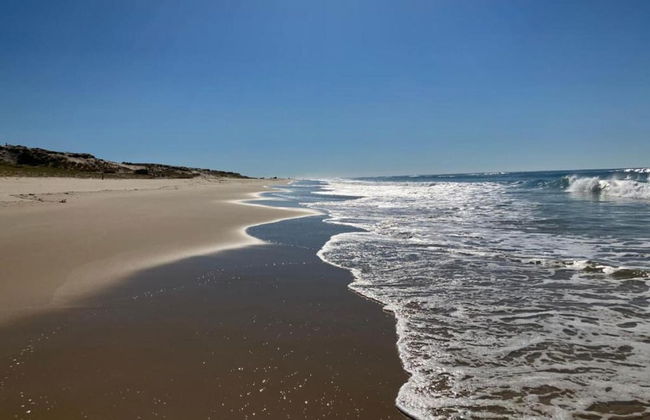 Studio in Biscarrosse Near Sandy Beach - Foto 20