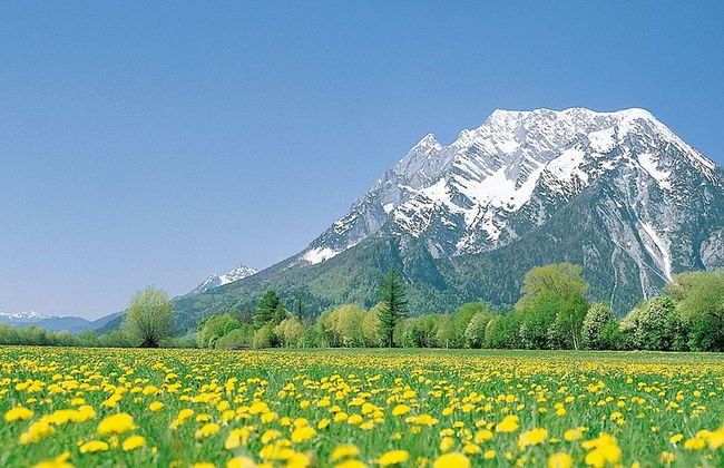 Apartamento de 3 quartos em Schladming com jardim e terraço - Foto 34