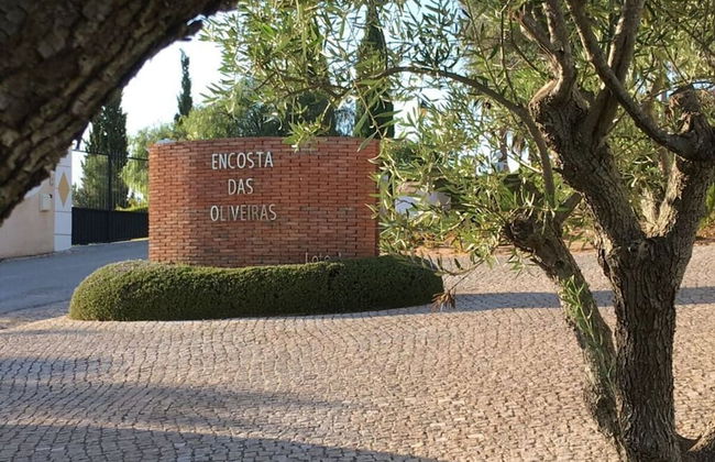 Apartment Margarita - Photo 35