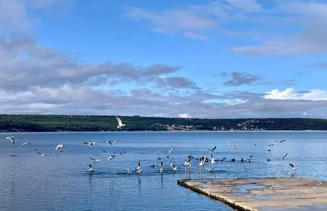 Apartment Marijana - Foto 32