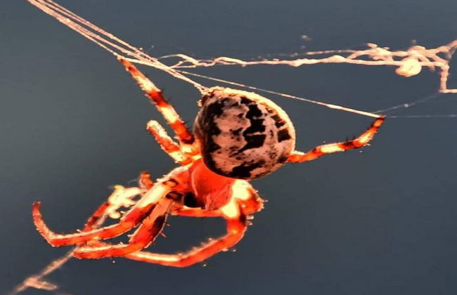 Apartment Marijana - Foto 36